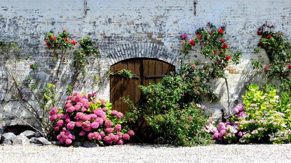 flowery wall