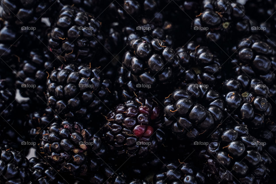 Texture of blackberries 