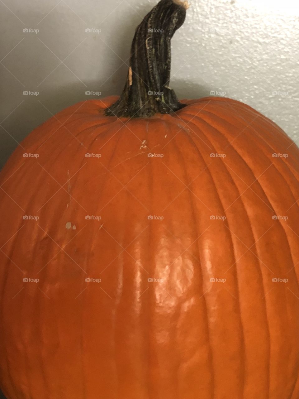 A pumpkin