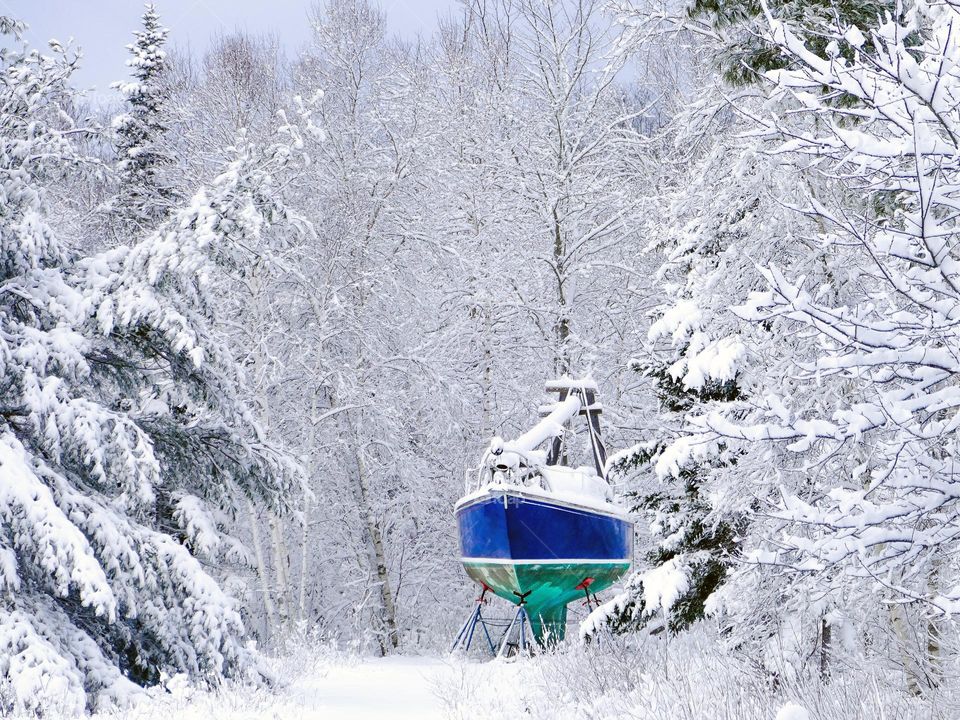 A sailboat, an icon of summer sits in the winter forest.