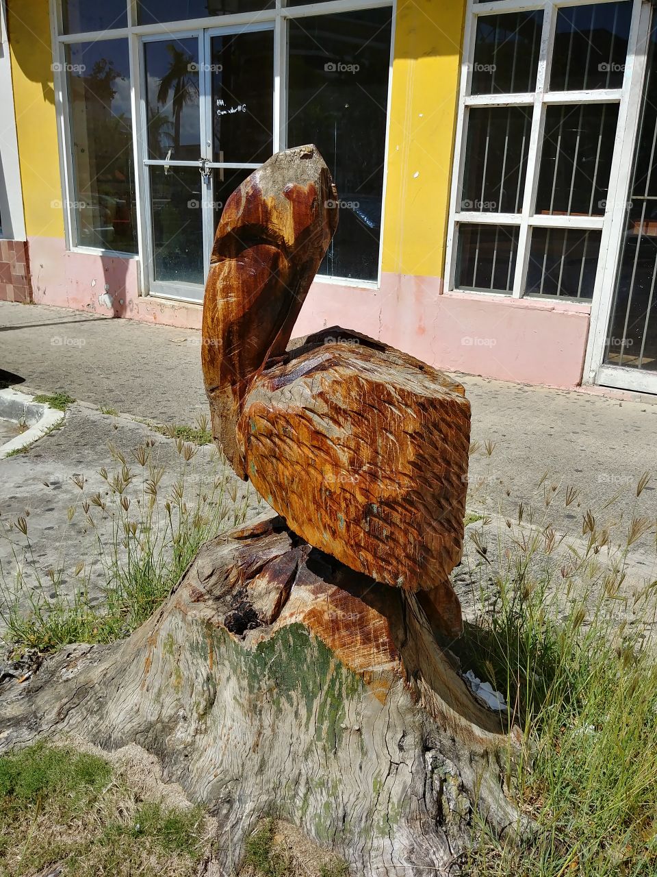 Beautiful carved pelican.