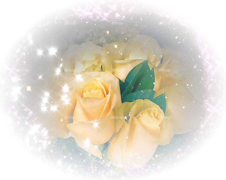 Yellow roses in a snowy sparkle