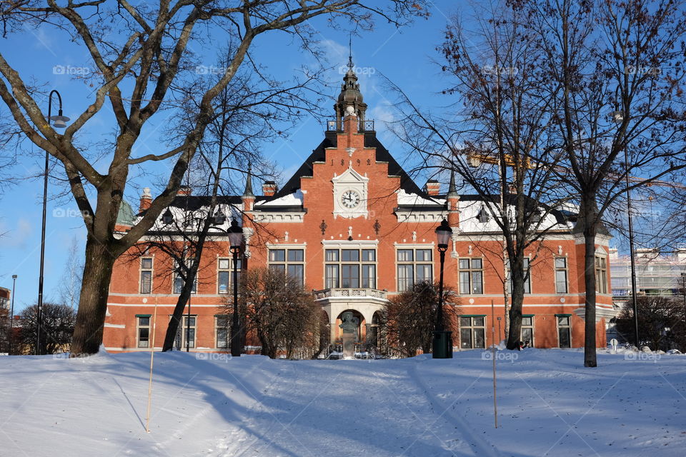 Tree, Winter, Architecture, Building, No Person