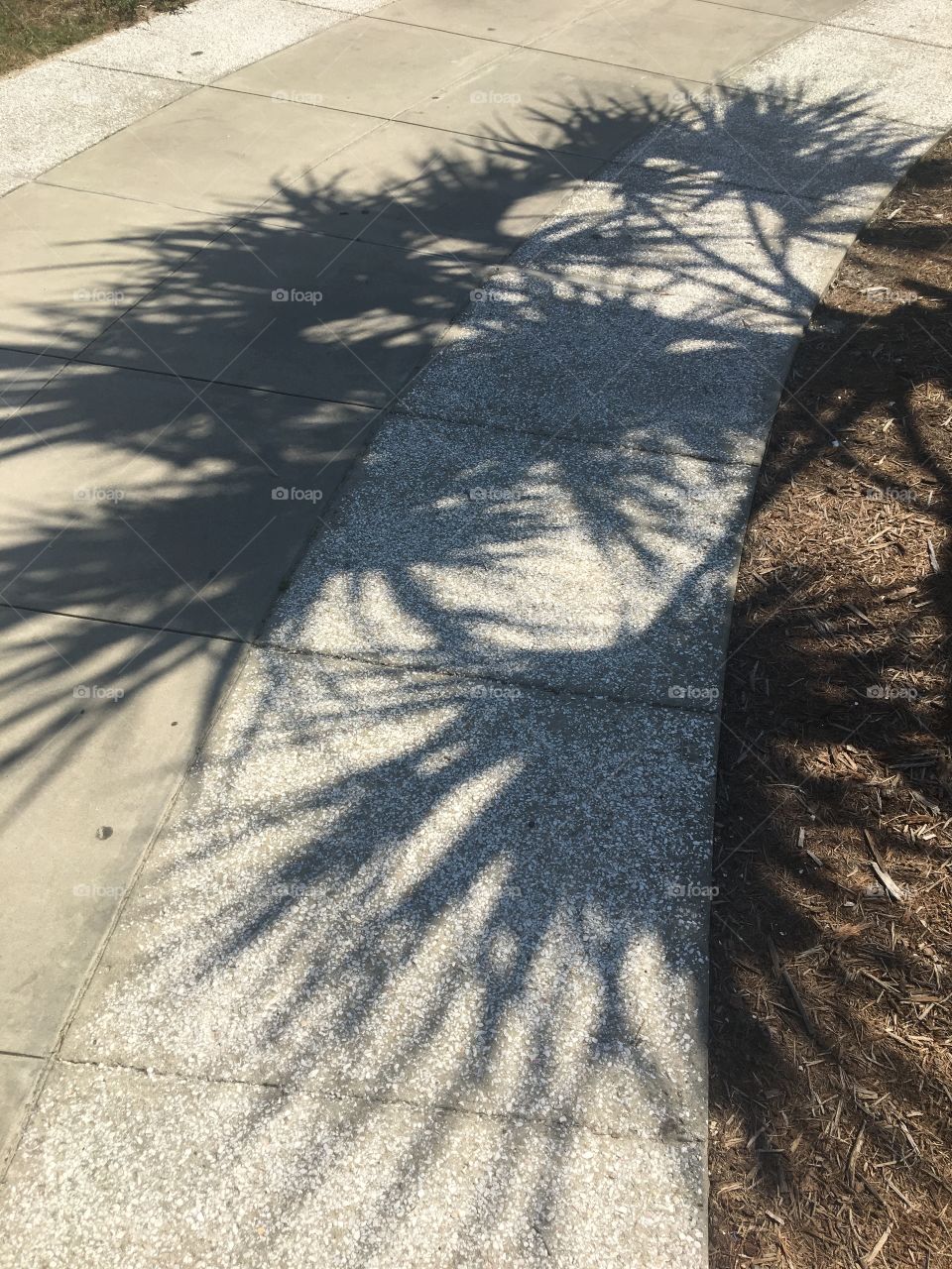Shadow on the sidewalk. 