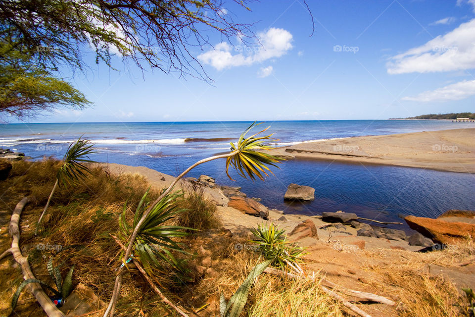 Waimea river