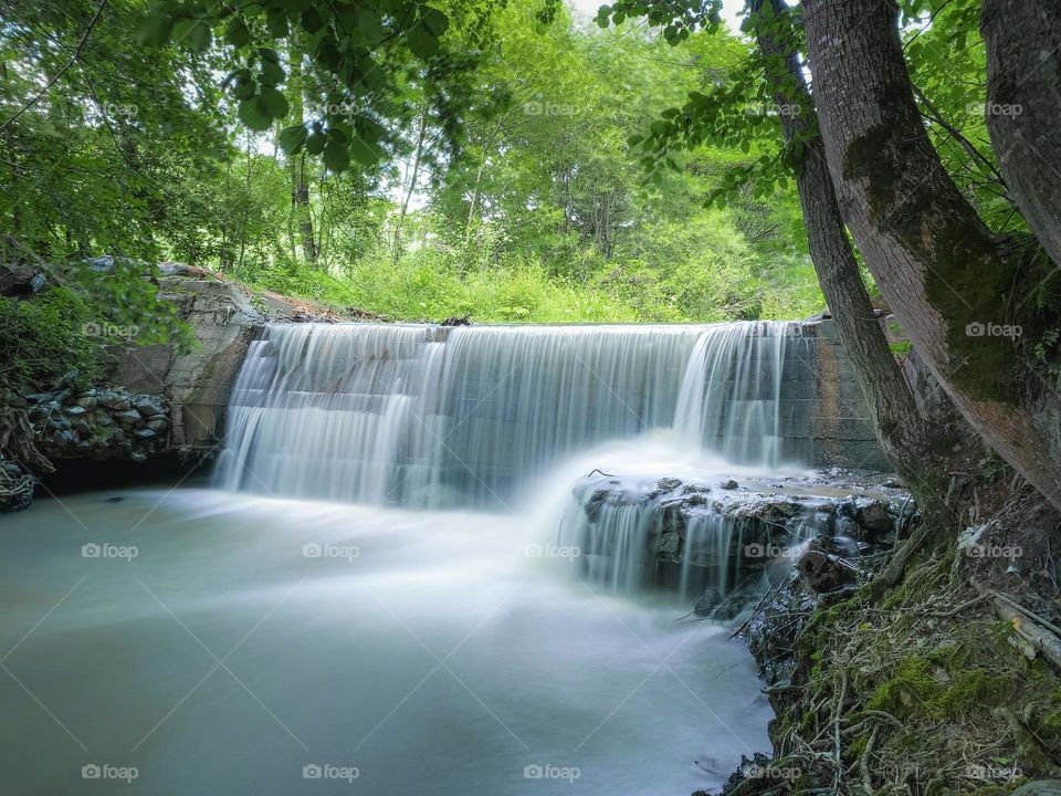 Scenic view of waterfall in forest 