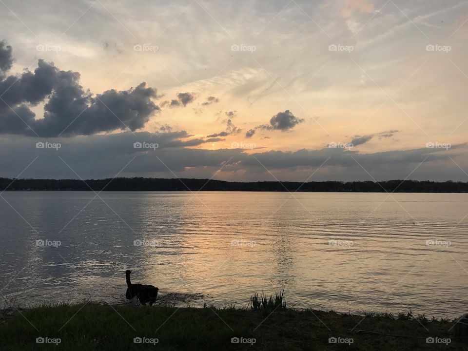 Water, Dawn, Lake, Sunset, Reflection