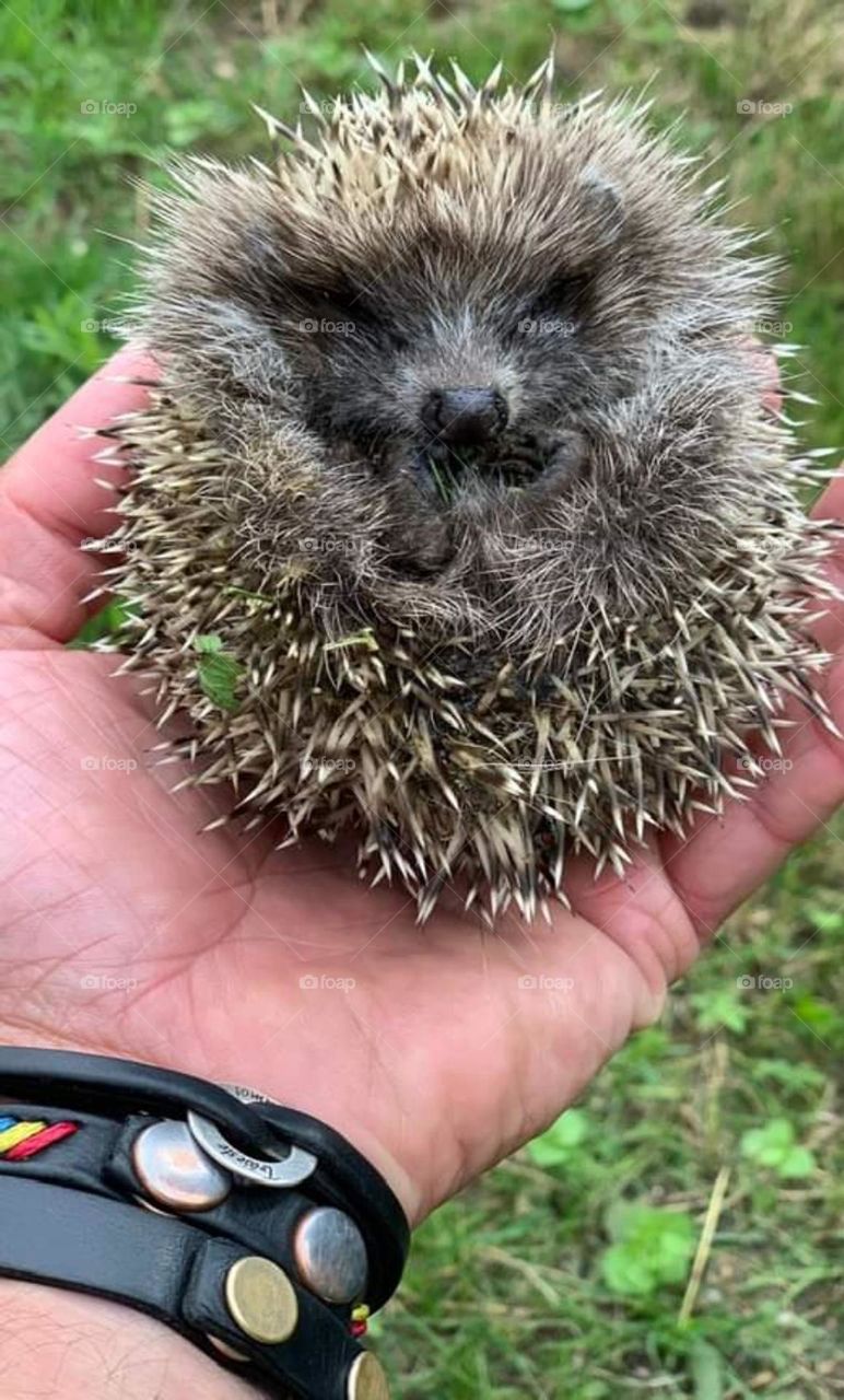 Lesson 2: join the premium mission