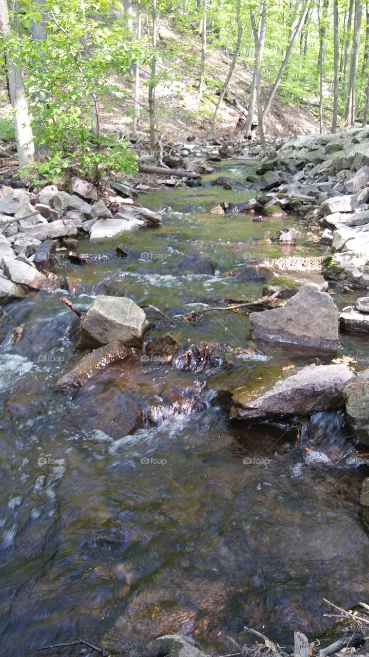 creek in new york