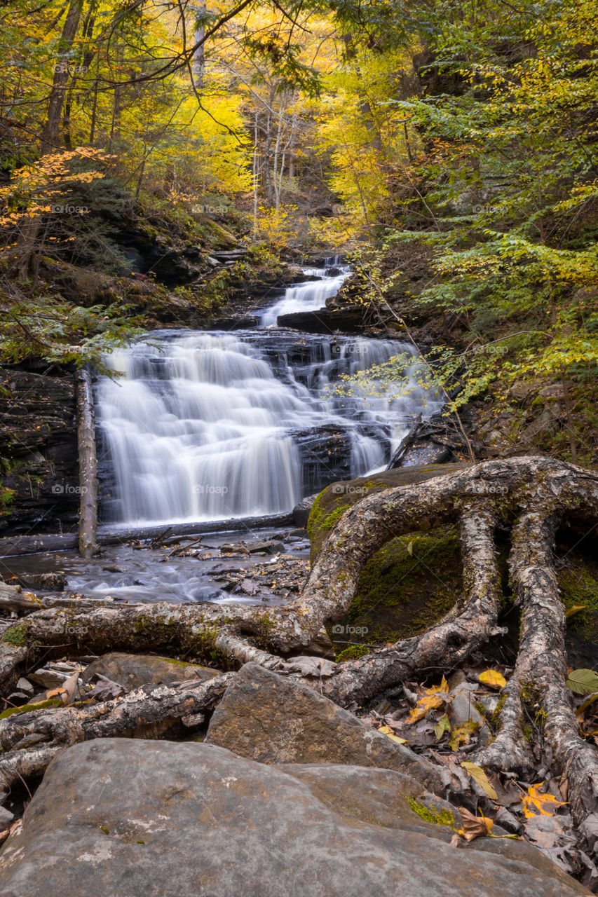 Autumn waterfall 