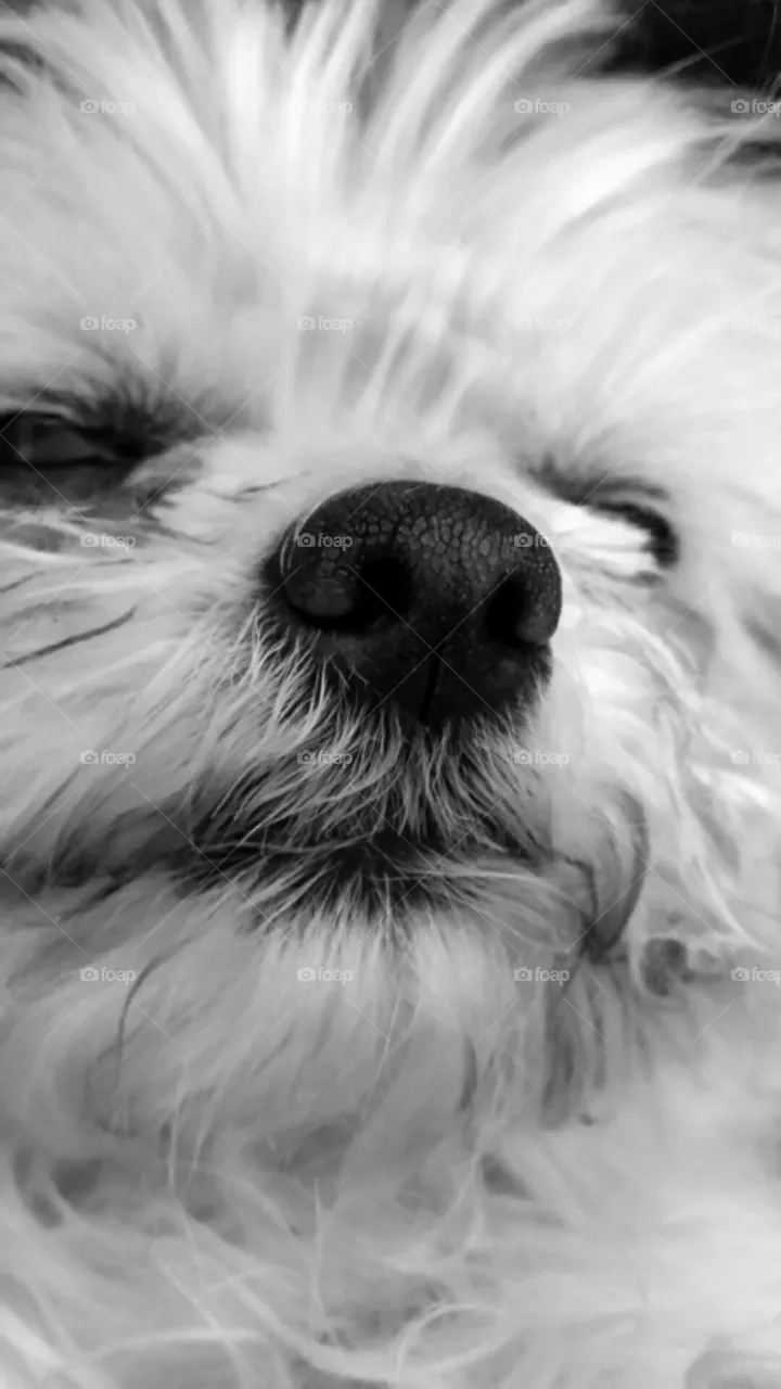 Close-up