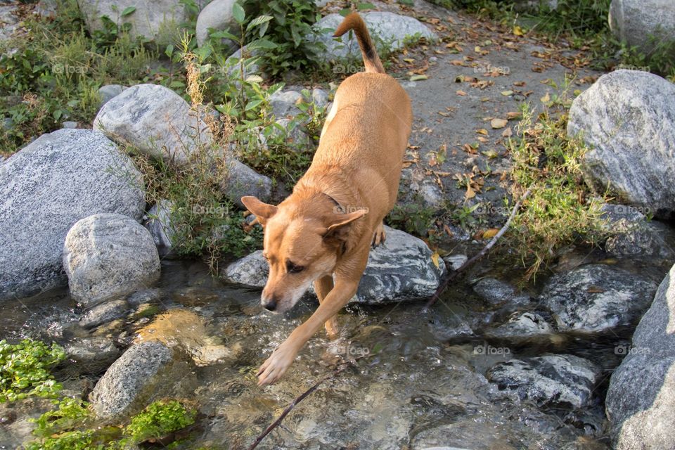 Nature, Outdoors, No Person, Rock, Water