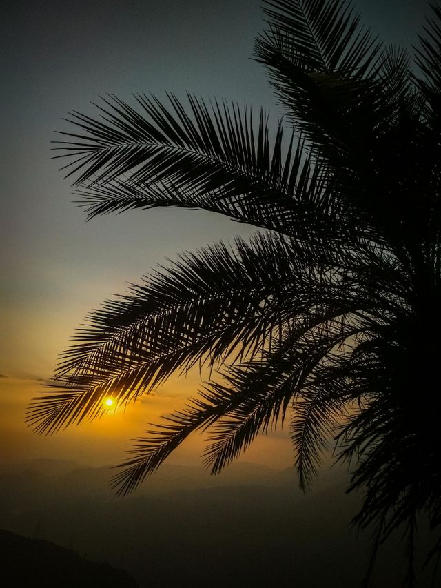 amazing sunset view