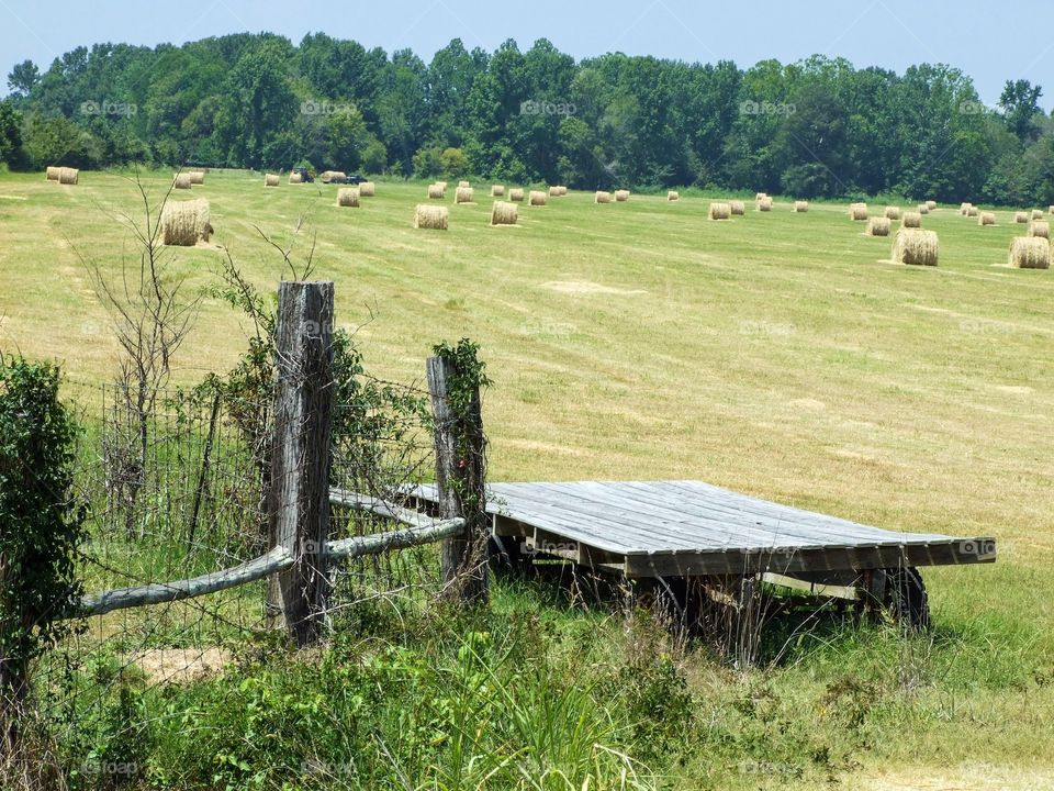 Rural. Mississippi