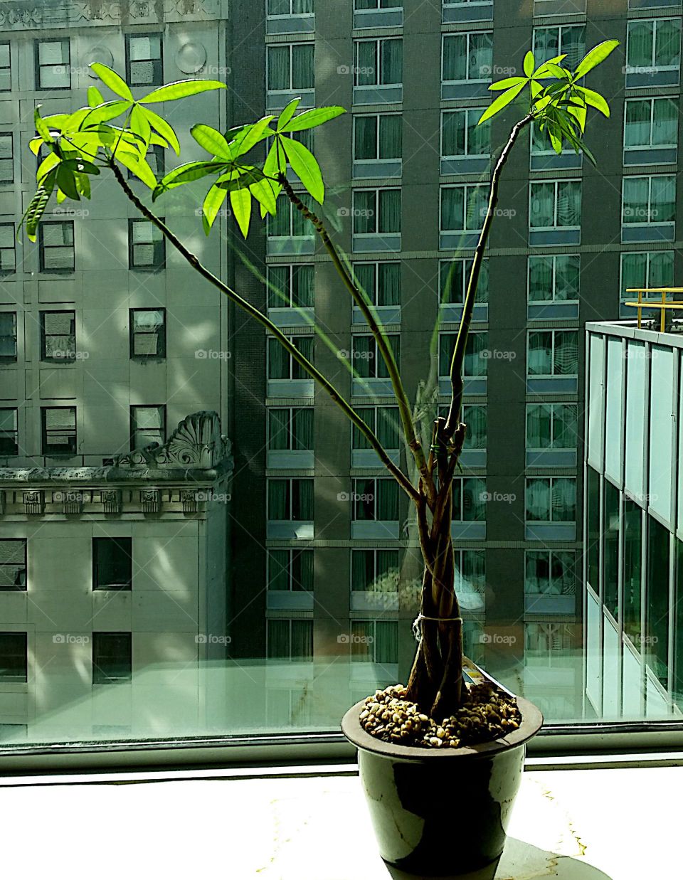 Architecture, Window, City, Glass Items, Urban