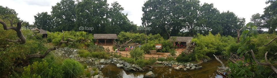 Tree, No Person, House, Home, Water