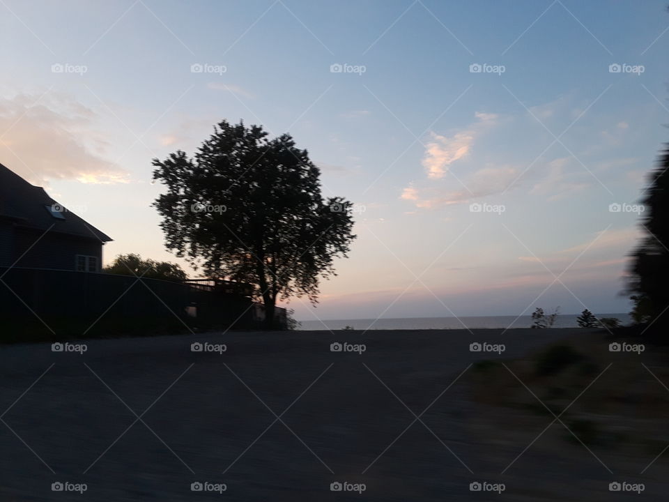 sunset and tree