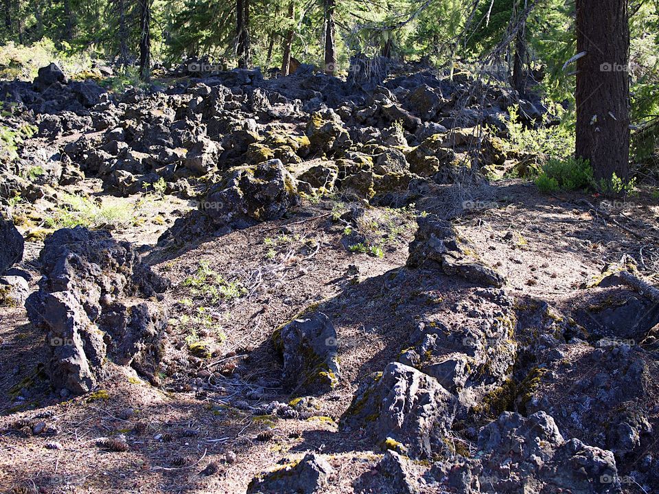 Jagged and rugged hardened lava rock high up in Oregon’s Cascade Mountains and forests on a sunny summer morning. 