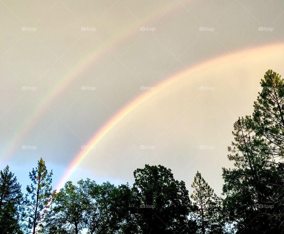 Light at the end of the Rainbow