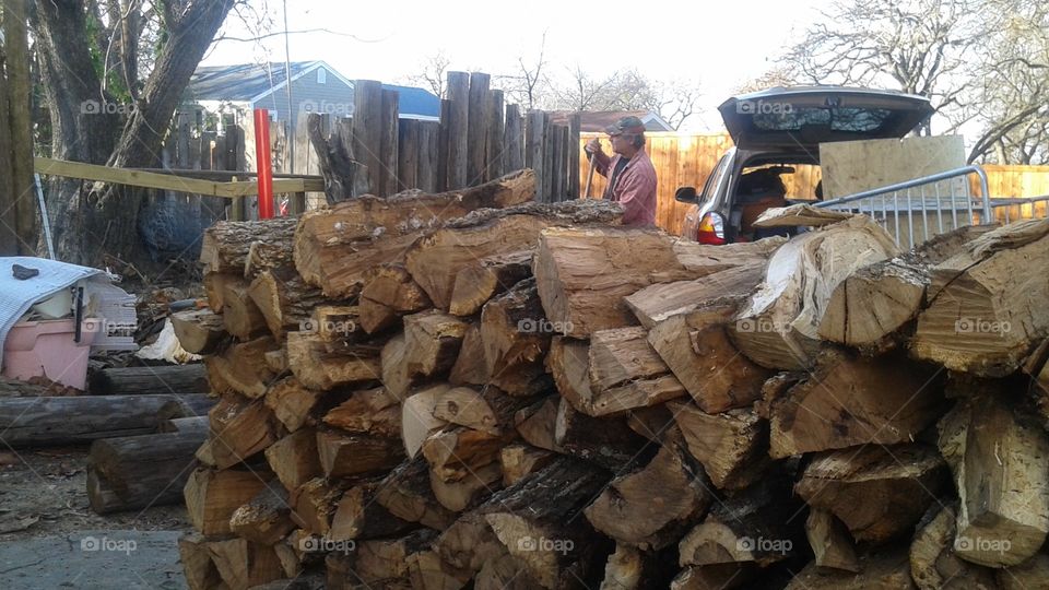 Industry, Fuel, Demolition, Tree Log, Pile