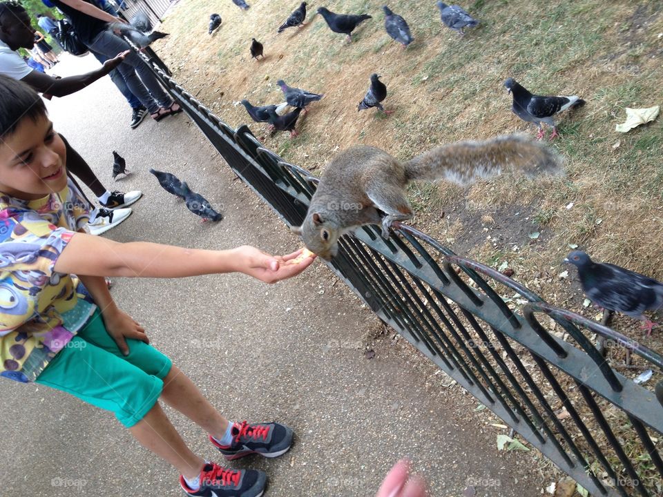 Feeding squirrel   