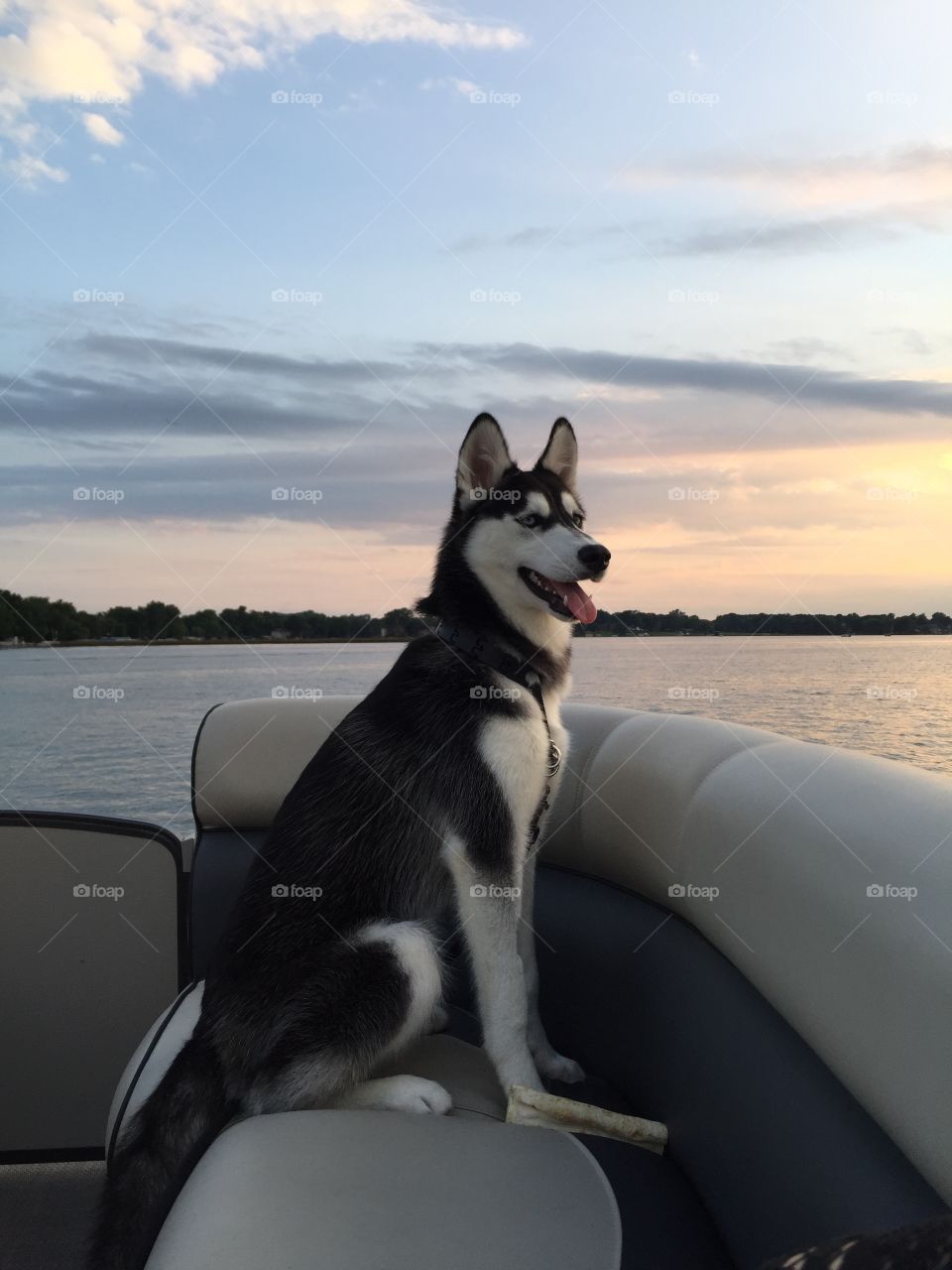 Sunset boat ride on the lake 