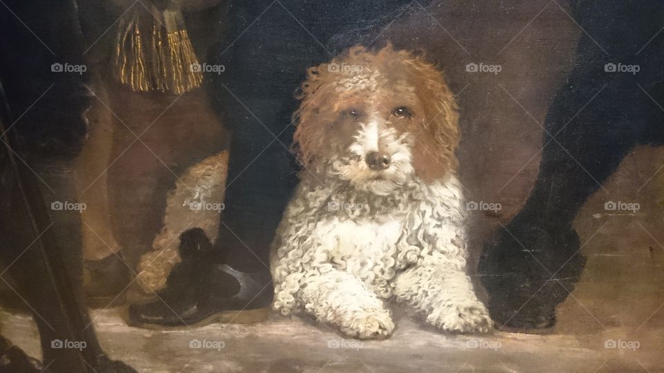 Amsterdam painting dog detail
