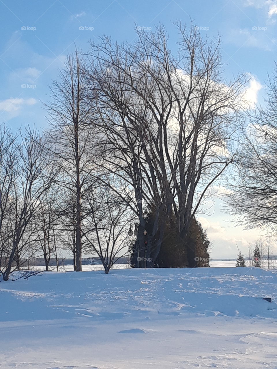 Chilly day, Magog, Quebec, Canada