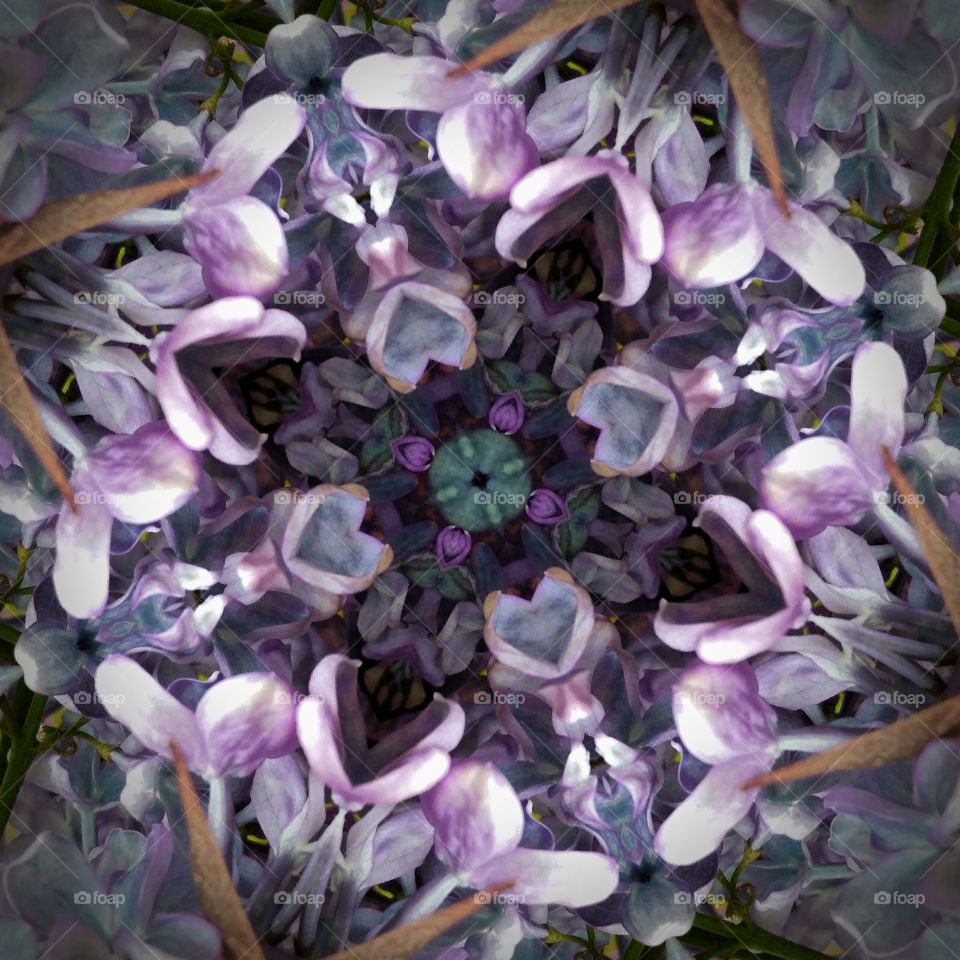 deep lilac mandala