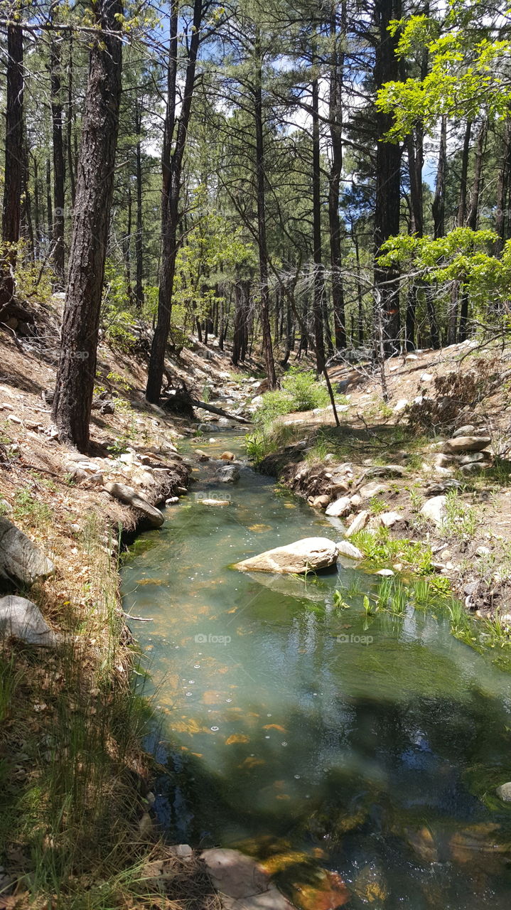 New Mexico Streams