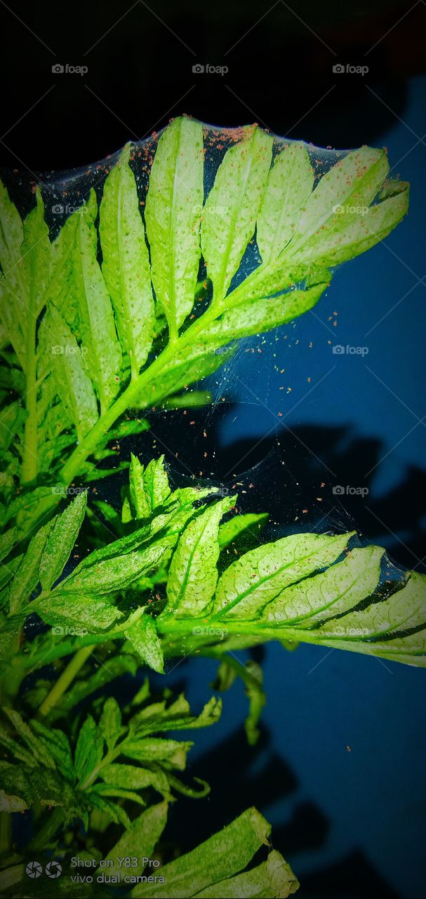 There is beauty in change, and these sunset quotes will remind you of the loveliness in endings that bring new beginnings.

Sunsets are not only beautiful, but they also have so much meaning. They signify endings, change, and transformation; they rem