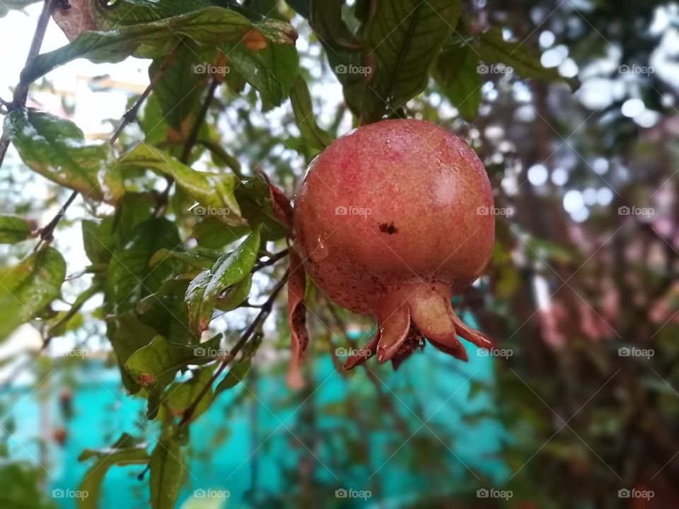 this is autumn session also rainy now very cool picture grap