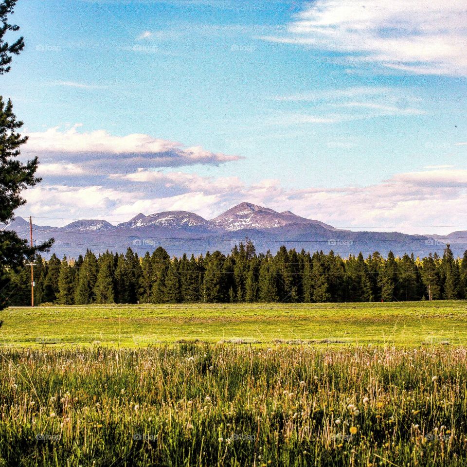 Purple Mountains