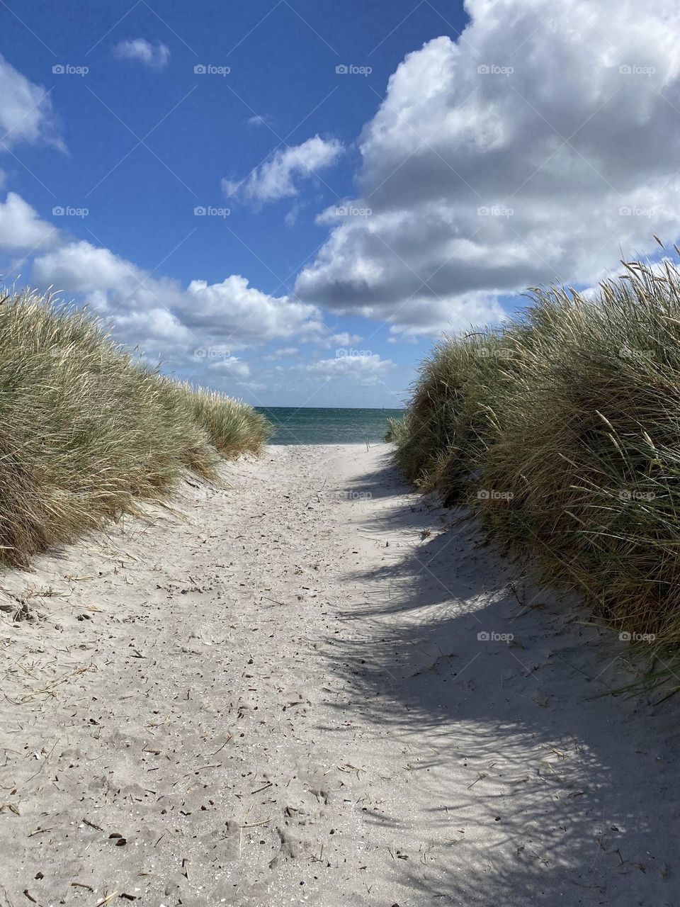 Seaside walk