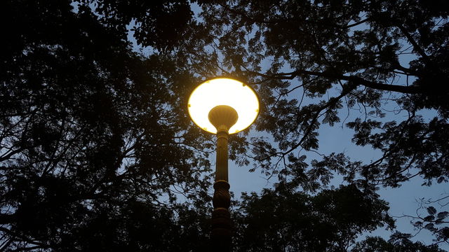 Street lights