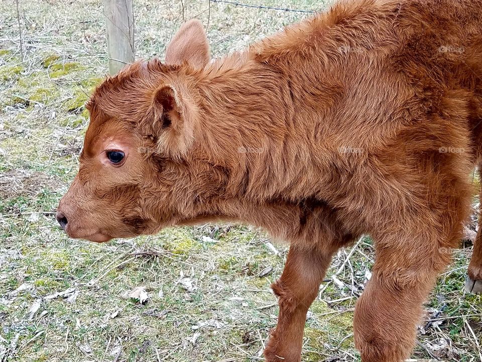Driving the back Roads, Enjoying Nature