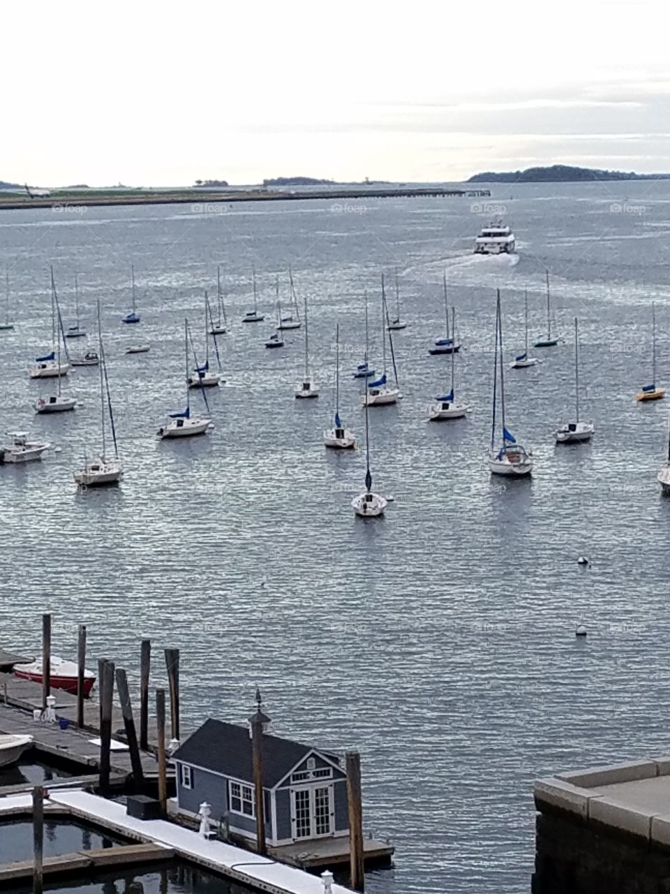 Boats in Boston harbor