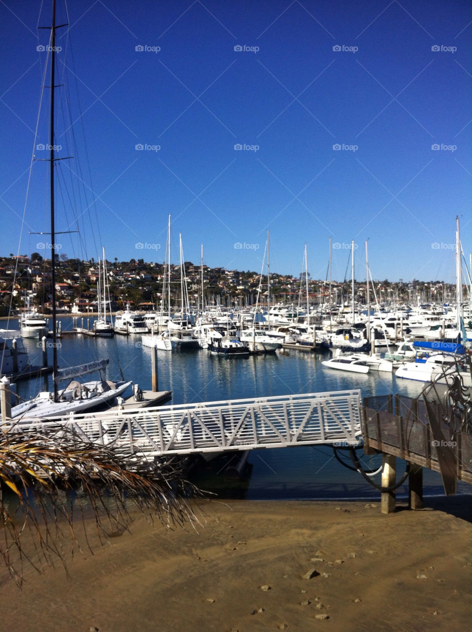 Many ships docked in San Diego, California.