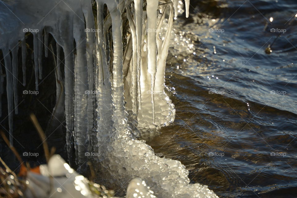 Icicle, Winter, Ice, Water, Snow