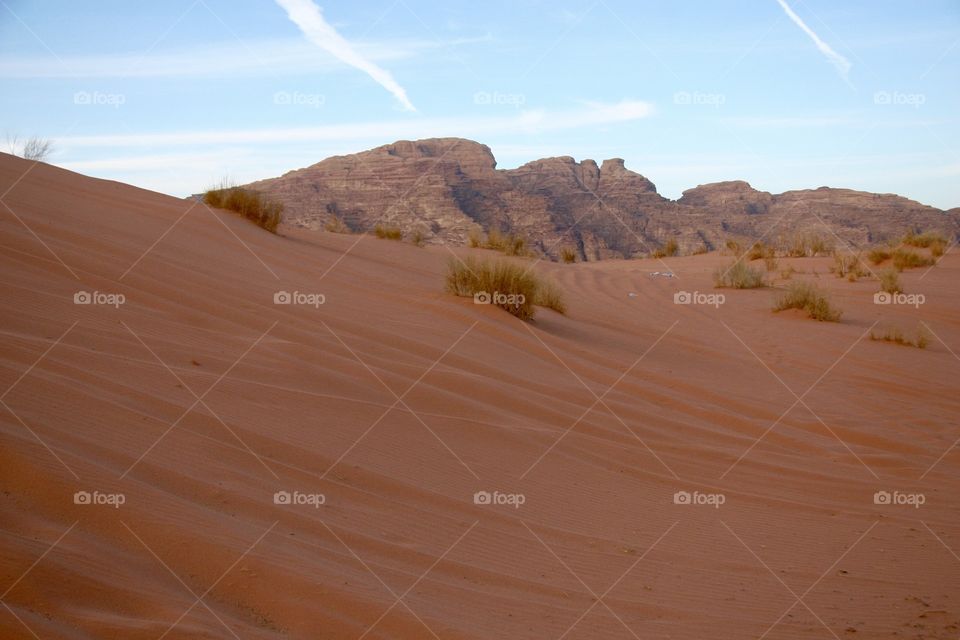 Landscape of Jordan 