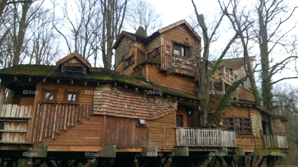 worlds largest treehouse