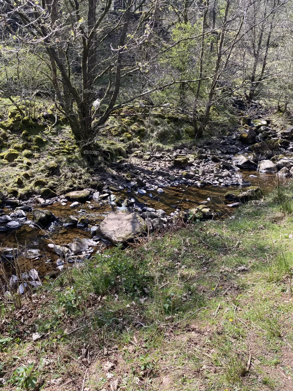 River bed.