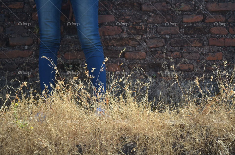 Outdoors, Nature, Landscape, Fall, Grass