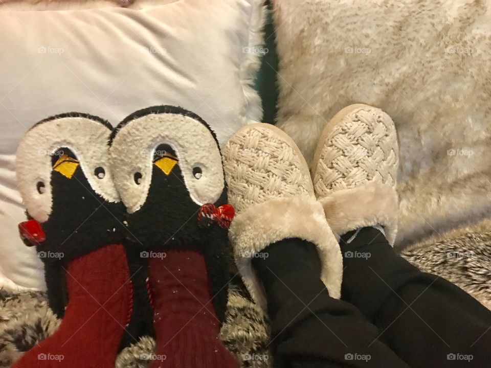 Best friends being cozy with their slippers and warm cotton socks sitting by fluffy pillows and a warm blanket in the winter. USA, America