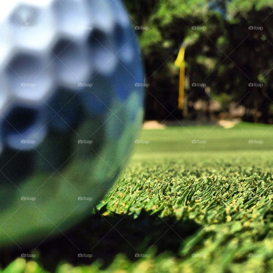 Insect's view of a golf ball on the green. 