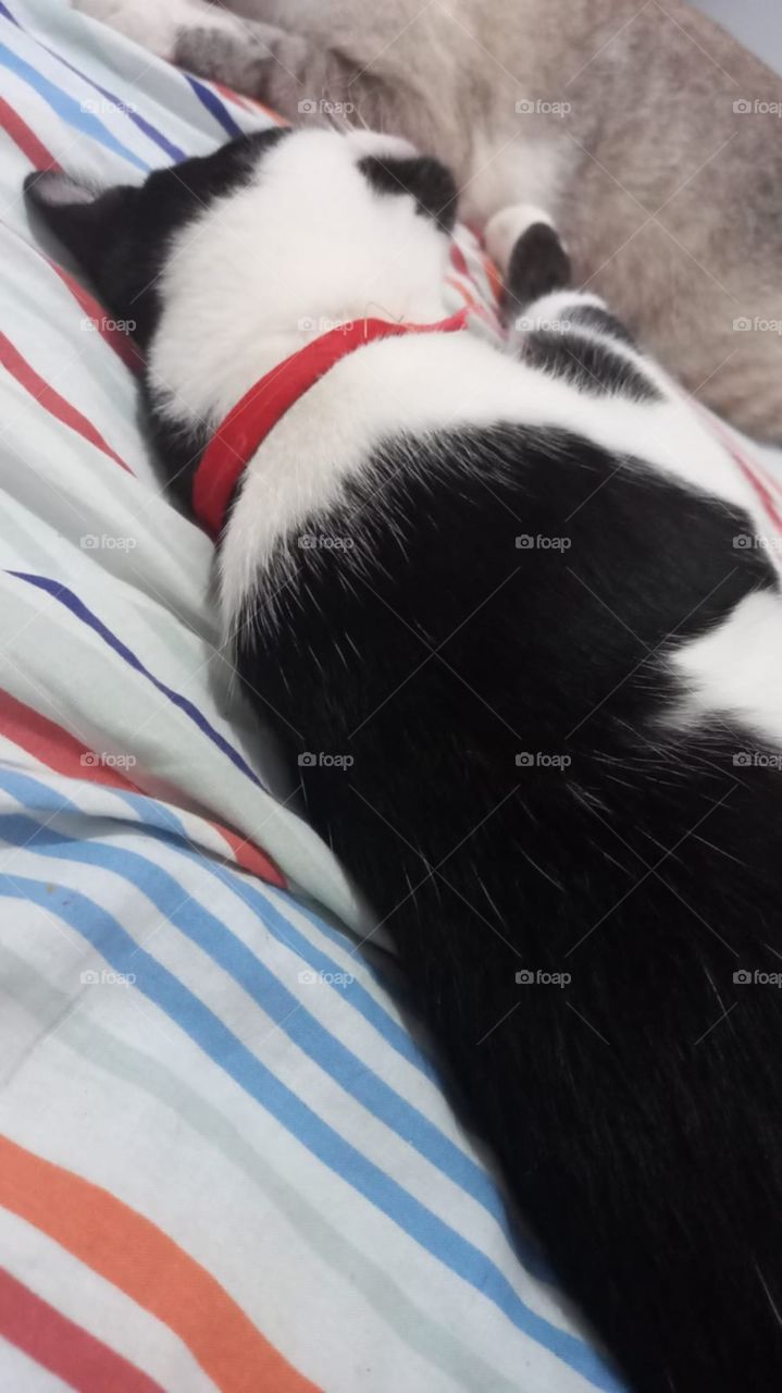 que fofa dormindo 💕