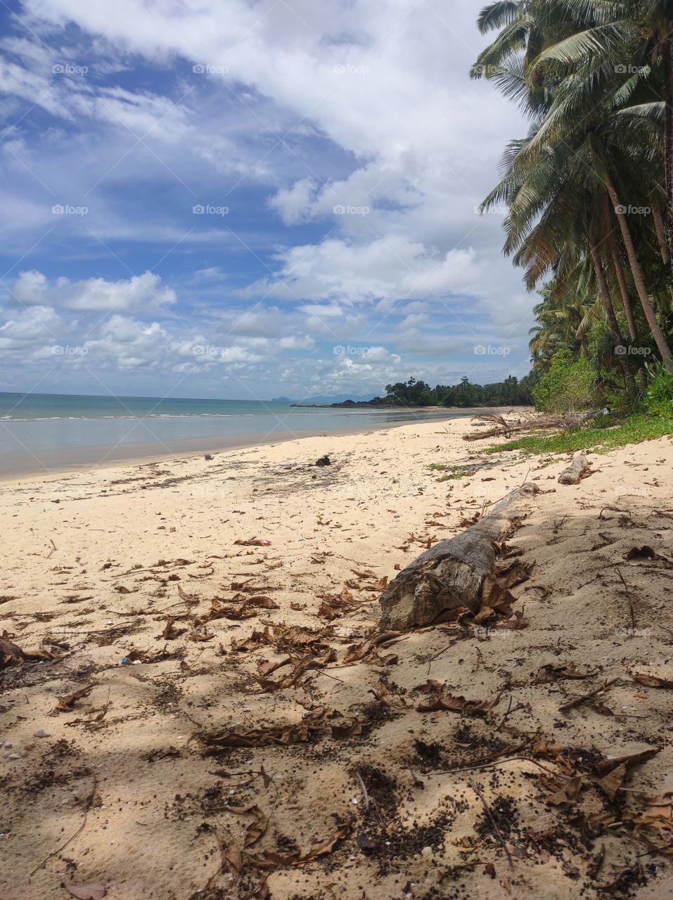 the beauty of the scenery on the beach in the afternoon