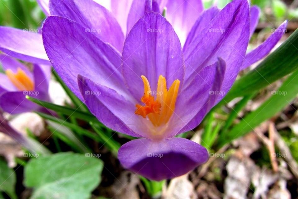 Springing into Spring!