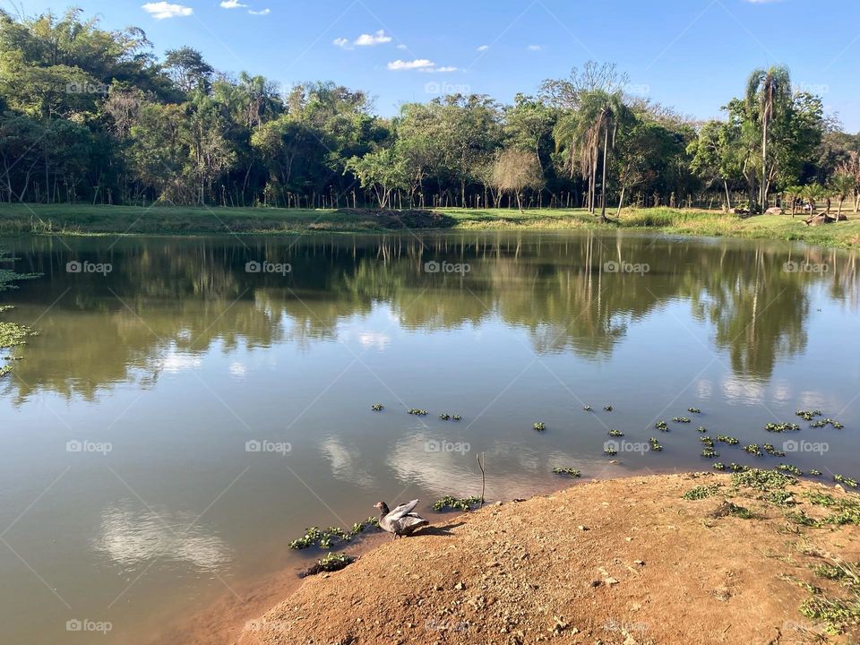 E no meio dos deslocamentos entre os compromissos, fiz uma pausa no “#Parque da Capela” (em #Vinhedo) para respirar ar puro por 5 minutos. 
A #natureza nos recompõe.
📸
#FOTOGRAFIAéNOSSOhobby