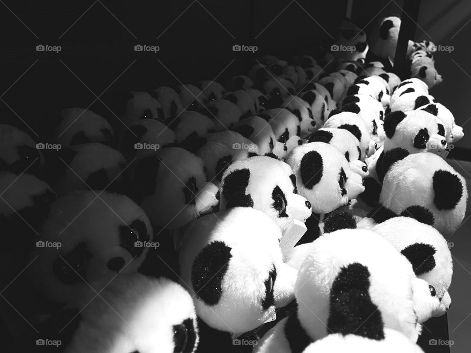 And some more panda's